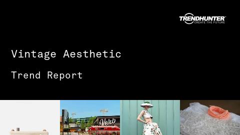 Vintage Aesthetic Trend Report and Vintage Aesthetic Market Research